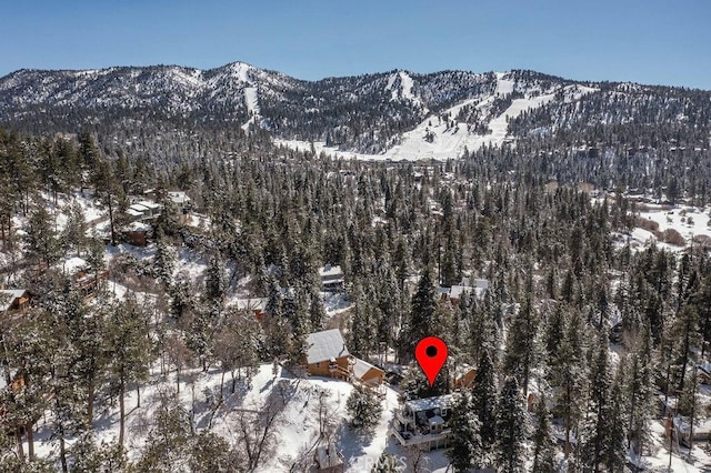 property view of mountains with a wooded view