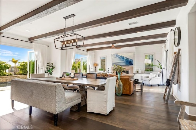 dining room featuring visible vents, a healthy amount of sunlight, dark wood-style flooring, and beam ceiling