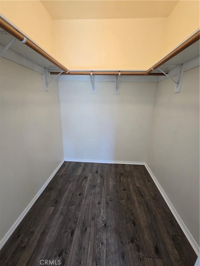 spacious closet featuring dark wood finished floors