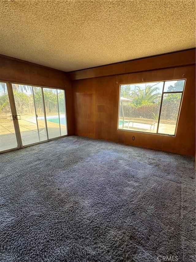 empty room featuring a textured ceiling, a healthy amount of sunlight, and carpet flooring