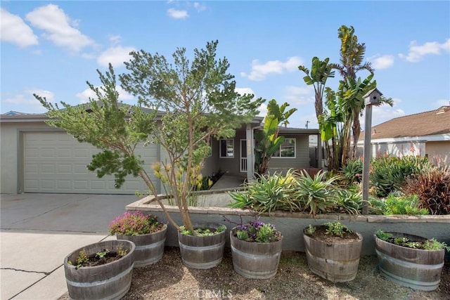 view of front of property with concrete driveway and a garage