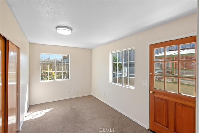 interior space with carpet flooring, baseboards, and a wealth of natural light