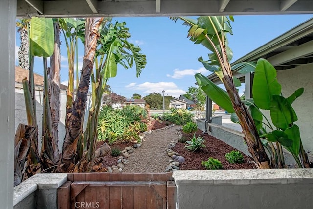 1429 14th St, Los Osos, CA 93402 - view of yard