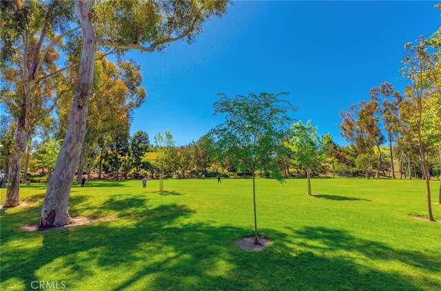 3 Summer Breeze, Irvine, CA 92603 - photo 39