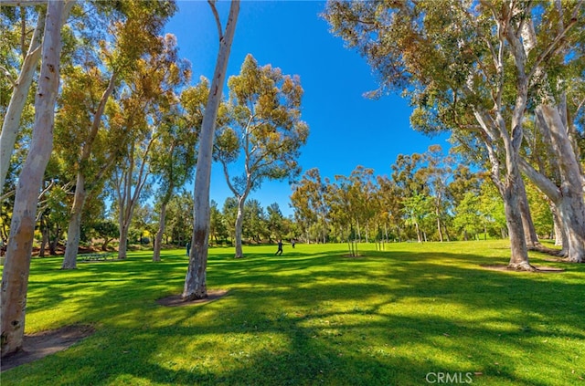 3 Summer Breeze, Irvine, CA 92603 - photo 38