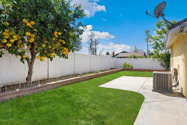 view of yard with central AC unit, a fenced backyard, and a patio area