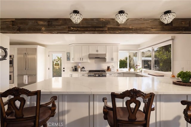 kitchen featuring under cabinet range hood, light stone counters, a sink, a peninsula, and appliances with stainless steel finishes