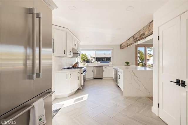 kitchen featuring backsplash, high end appliances, plenty of natural light, and under cabinet range hood