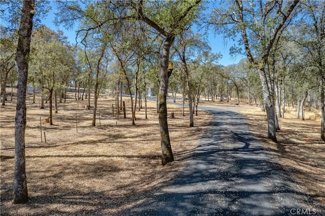 view of street with driveway