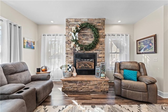 living area featuring baseboards, plenty of natural light, wood finished floors, and a fireplace