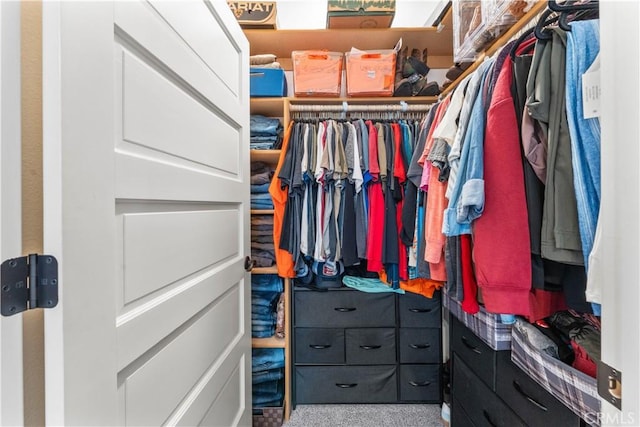 view of walk in closet