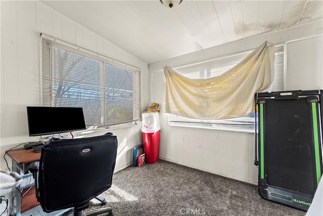 view of carpeted home office