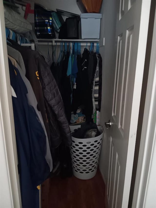 walk in closet featuring wood finished floors