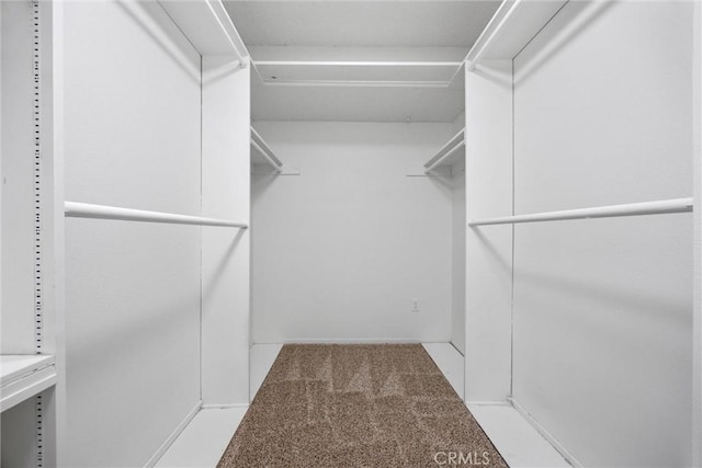 walk in closet with carpet