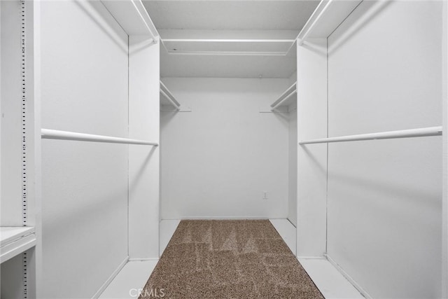 walk in closet with carpet flooring