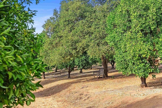 view of yard with a rural view