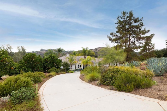 view of community with concrete driveway