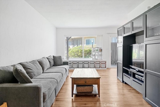 living room with light wood-style flooring