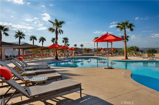 pool with a patio