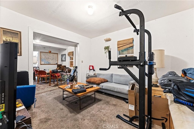 workout area featuring carpet and a textured ceiling