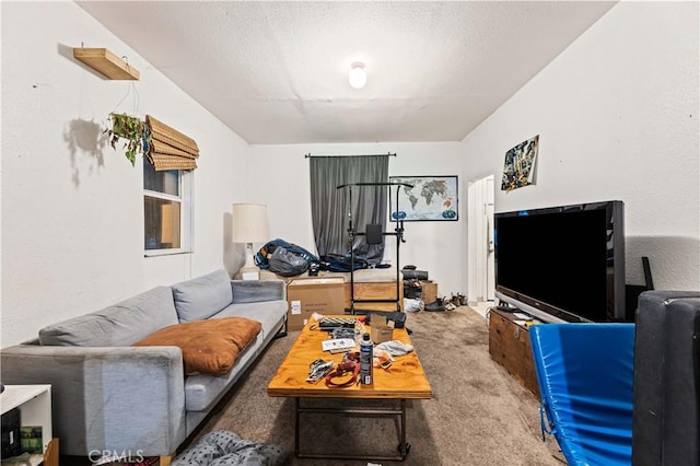 carpeted living room featuring a textured ceiling