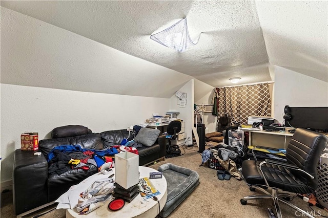 office space with lofted ceiling, carpet, and a textured ceiling