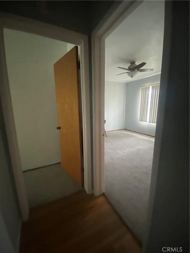 hallway with wood finished floors