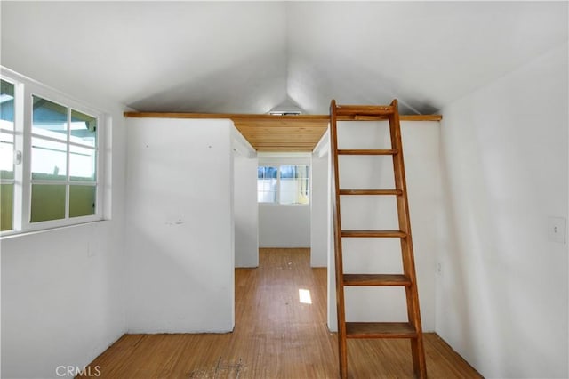 interior space featuring lofted ceiling and wood finished floors