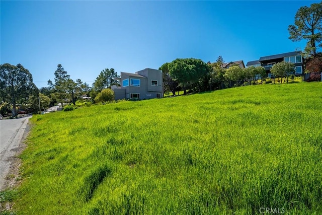 1735 Spencer St, Cambria, CA 93428 - view of yard