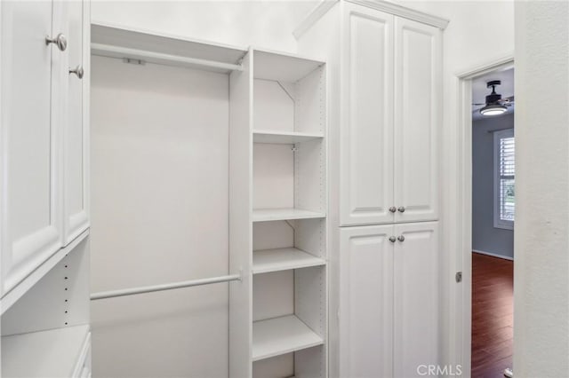 walk in closet featuring wood finished floors