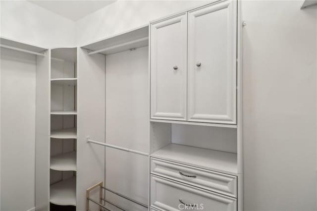 view of walk in closet