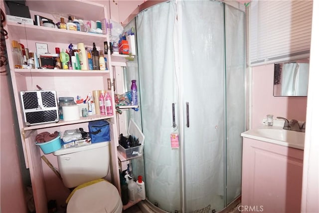 bathroom featuring a shower stall, toilet, and vanity
