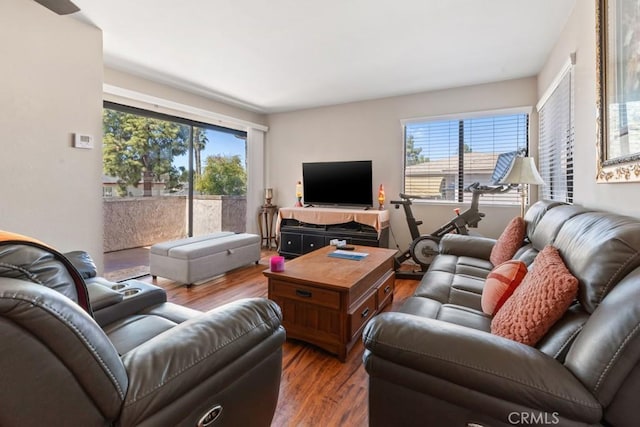 1335 Massachusetts Ave Unit 202, Riverside, CA 92507 - living room with wood finished floors