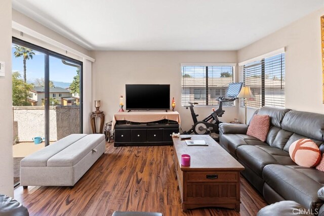 1335 Massachusetts Ave Unit 202, Riverside, CA 92507 - living area with dark wood finished floors
