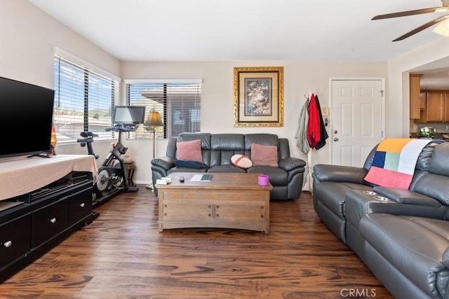 1335 Massachusetts Ave Unit 202, Riverside, CA 92507 - living area featuring ceiling fan and dark wood-style floors