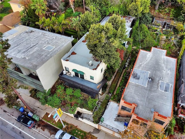bird's eye view