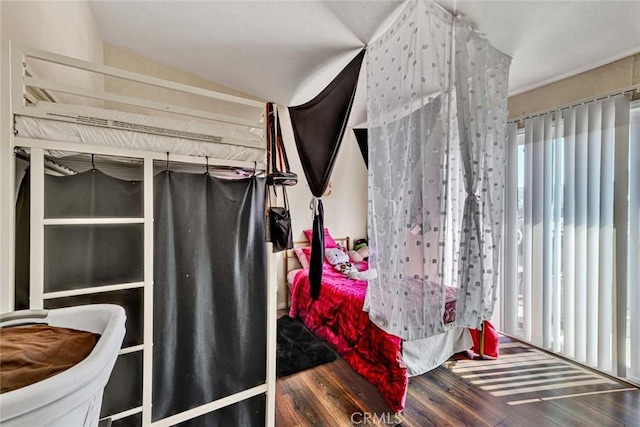 bedroom featuring multiple windows and wood finished floors