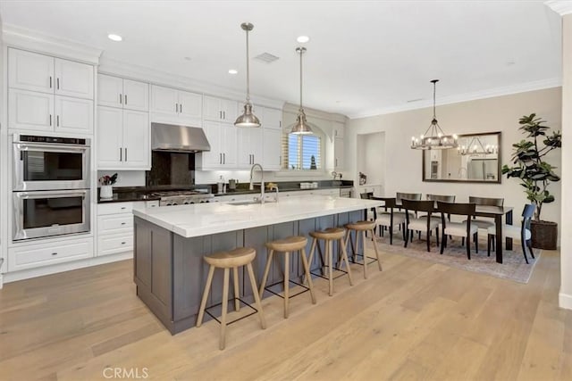 kitchen with range hood, light wood-style flooring, stainless steel appliances, white cabinetry, and a sink