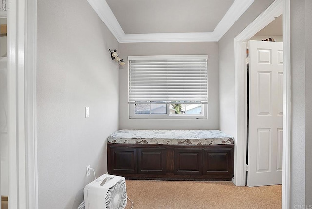 living area featuring light colored carpet and ornamental molding