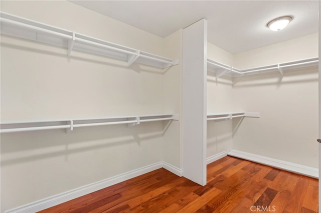 spacious closet featuring wood finished floors