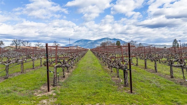 view of yard featuring a rural view and a mountain view