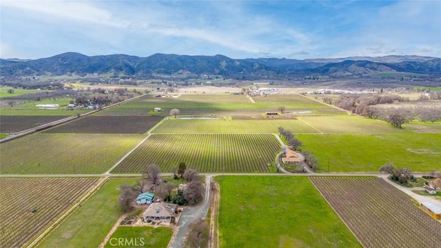 birds eye view of property with a rural view and a mountain view