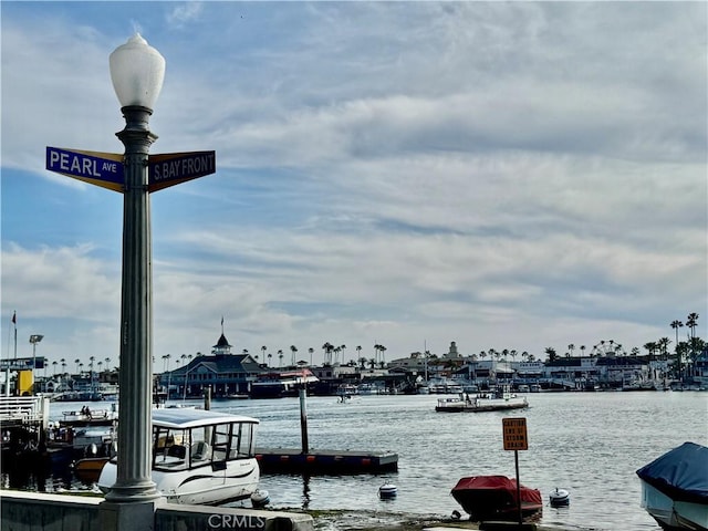 dock area with a water view