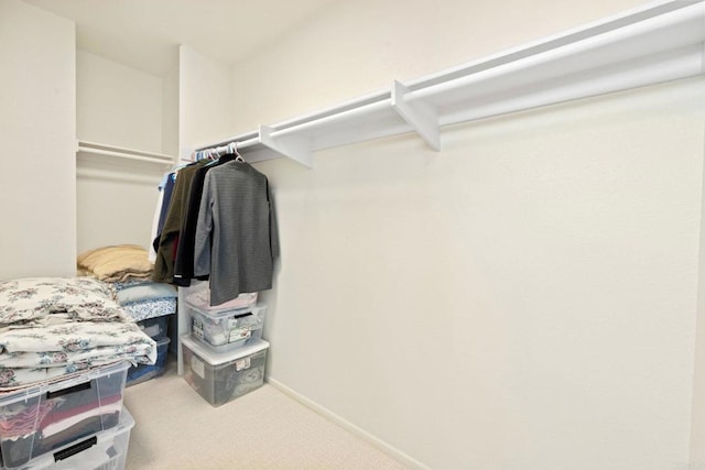 spacious closet with carpet flooring