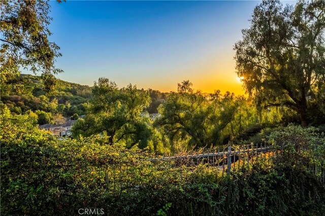 nature at dusk with a view of trees