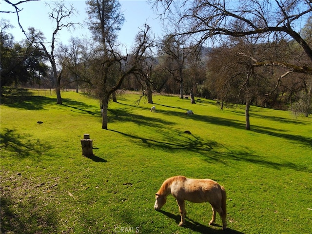 view of home's community with a lawn