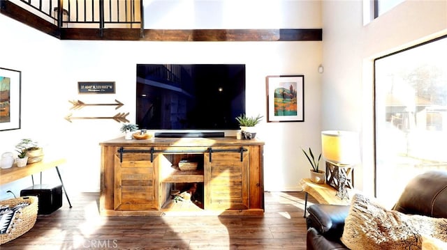 living area featuring wood finished floors and a towering ceiling