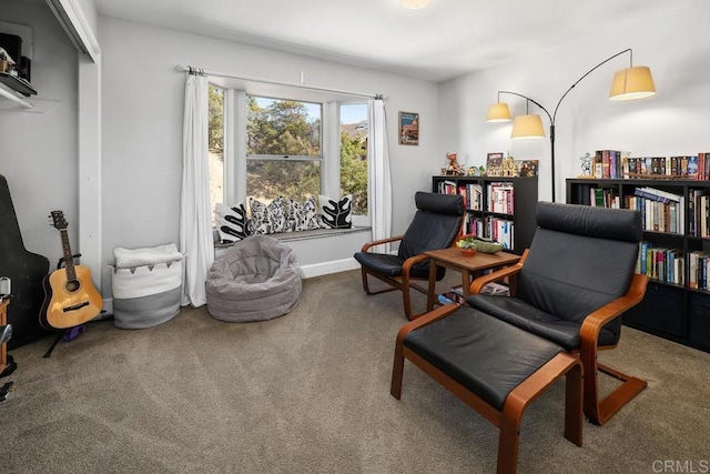 sitting room featuring carpet floors