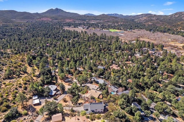 drone / aerial view featuring a mountain view