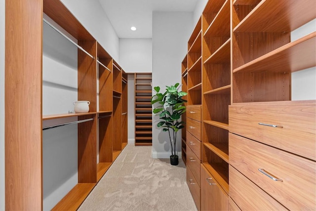 spacious closet with carpet